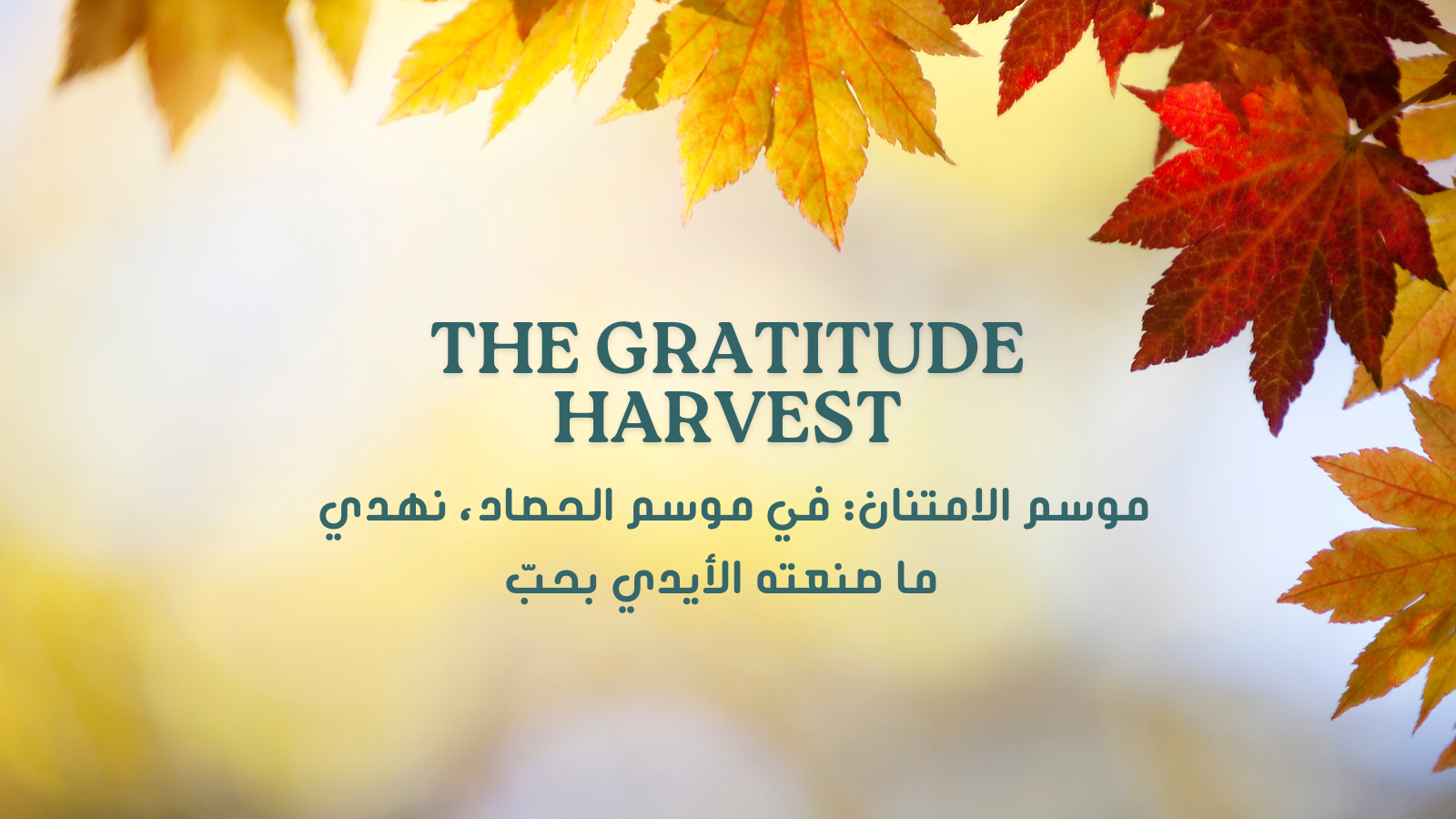 THE GRATITUDE HARVEST
